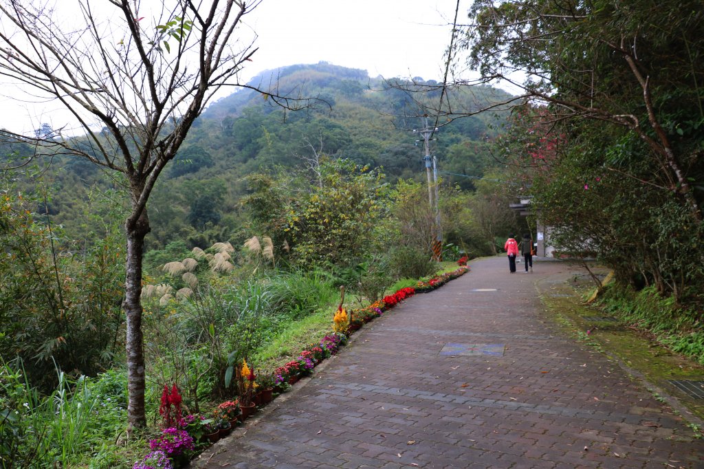 【桃園。復興】別有洞天。 三民蝙蝠洞_876214