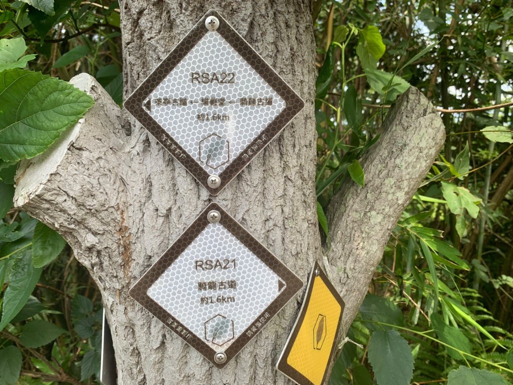 大崎棟古道、騎龍古道_2772289