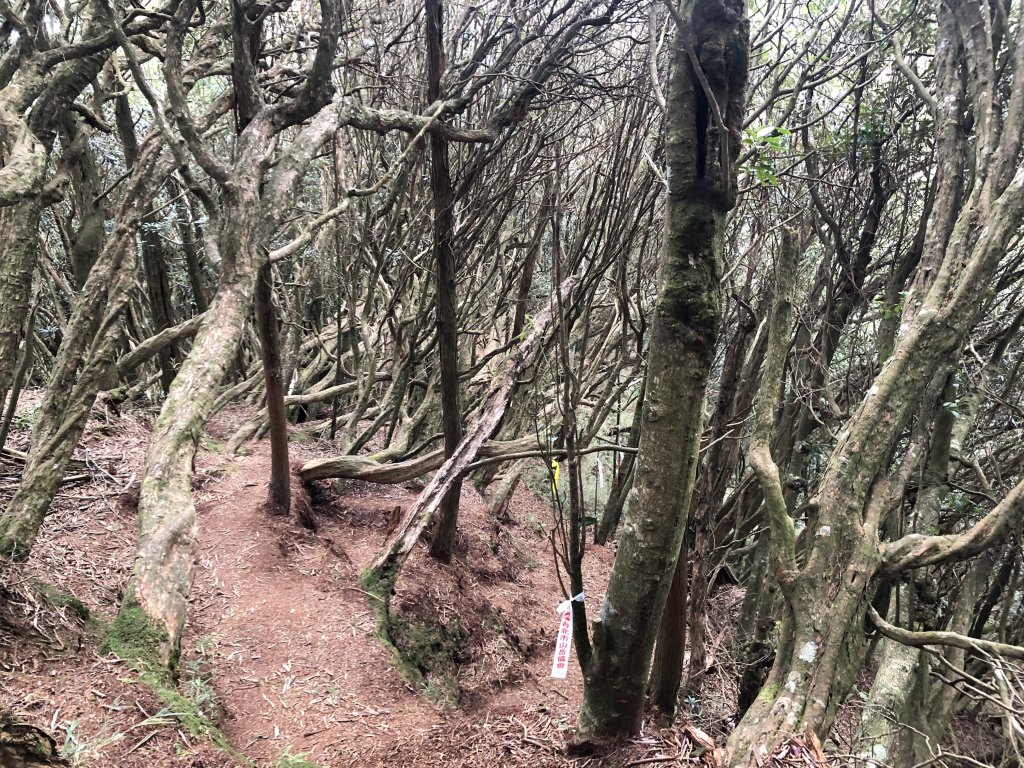 高島縱走：經典的中級山縱走路線_918145