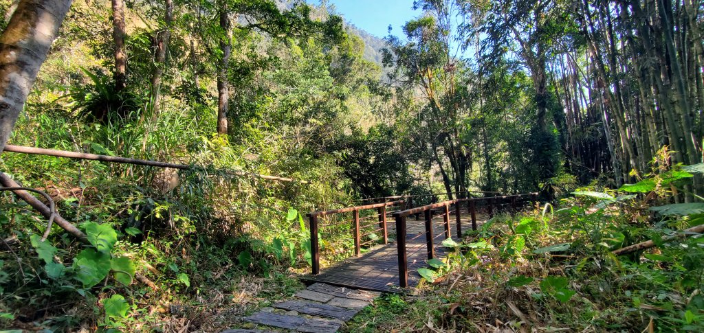 2025-01-30迷糊步道_2704446