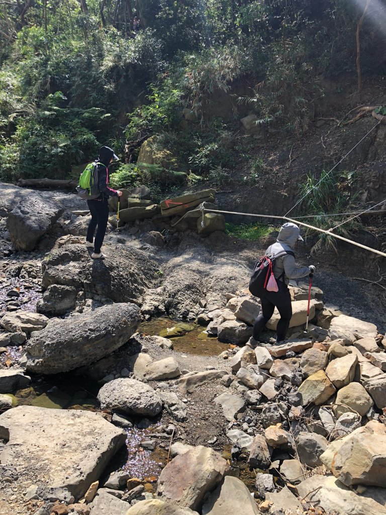 2020.03.08里龍山_878266