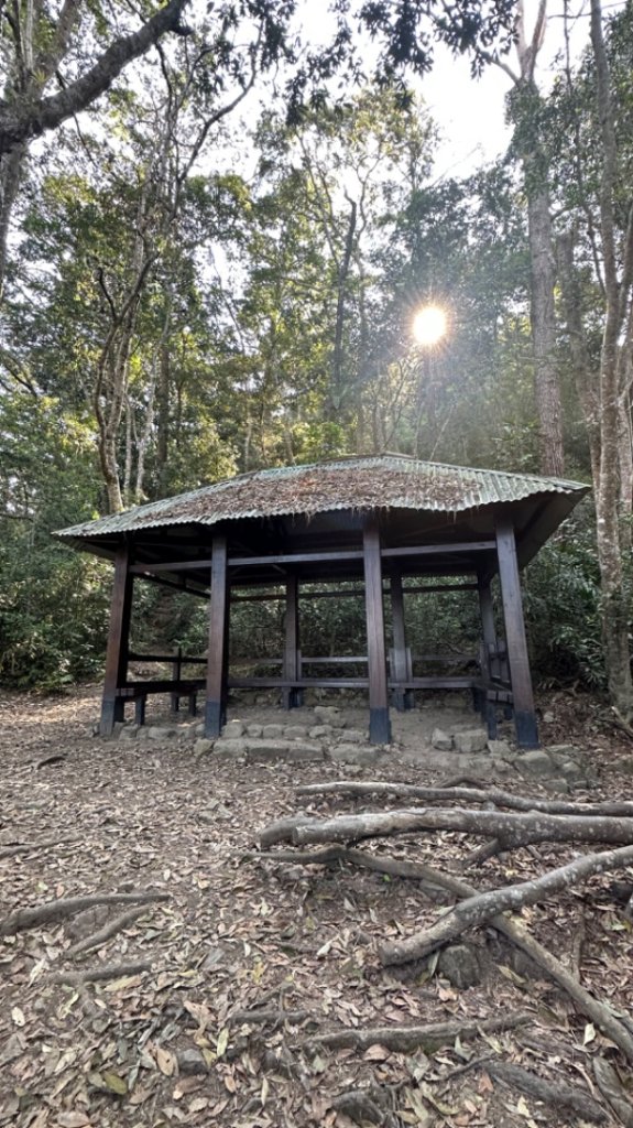 裡冷上唐麻丹O繞+蝴蝶谷_2742926