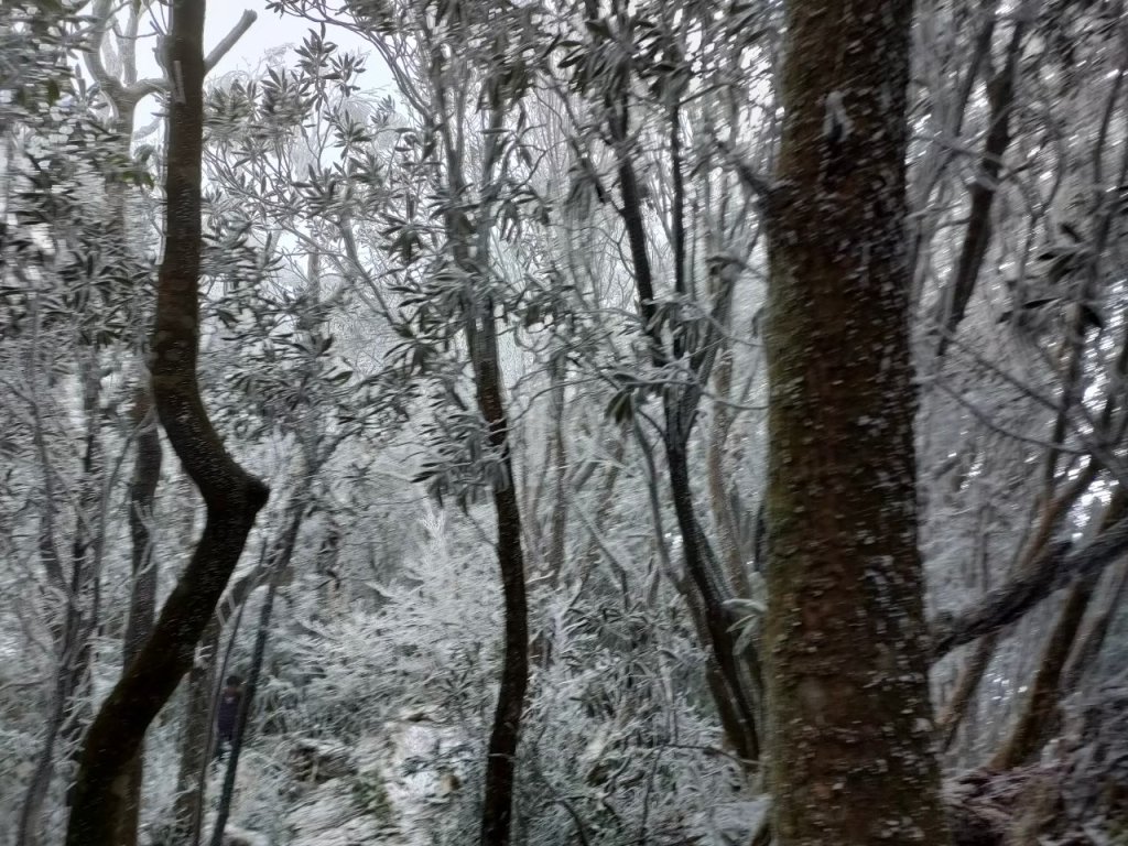 雪季北得拉曼_2956384