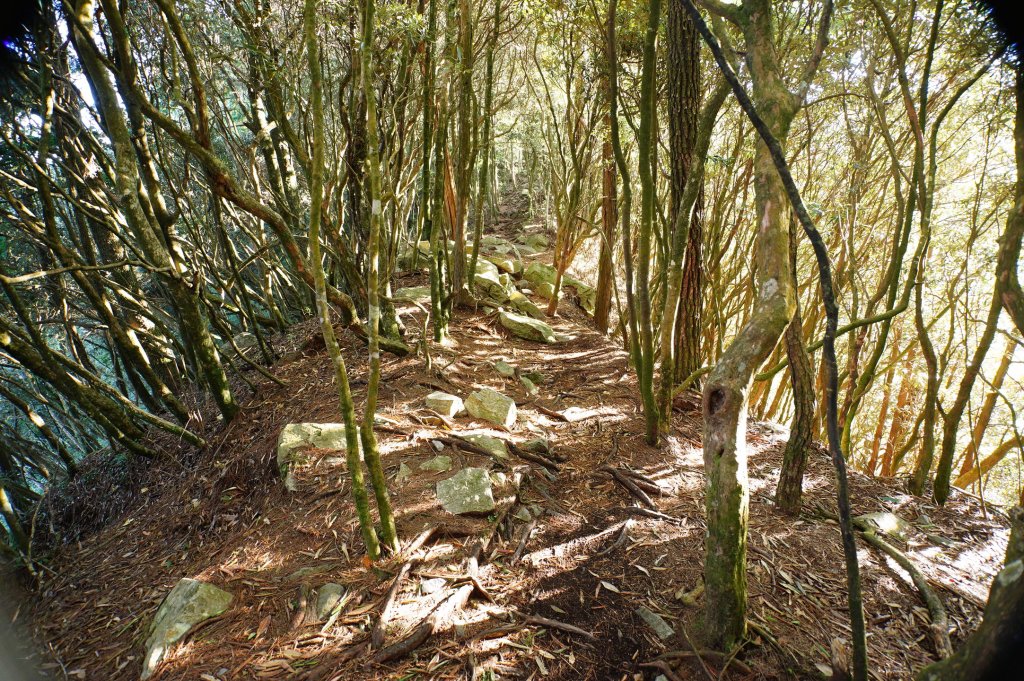 台中 和平 鳶嘴山_2926850