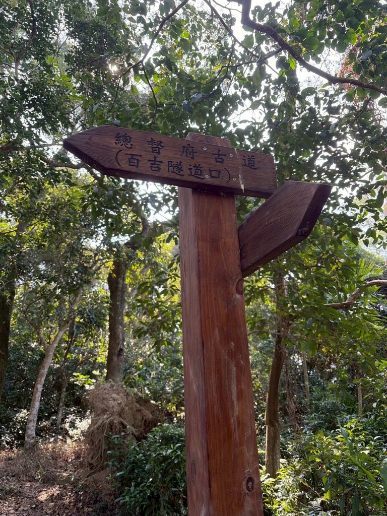 桃園 大溪 頭寮山_3004518