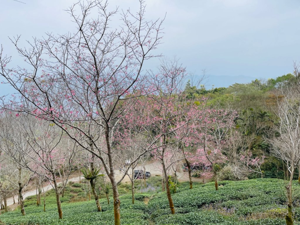 1120226獵鷹尖.一線天｜梅峰-福光山-飯包尖山_2042722