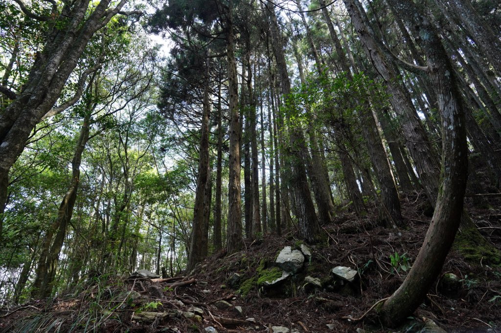 台中 和平 馬崙山_2796946