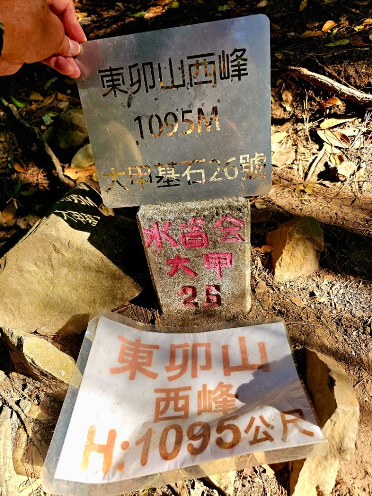 東卯山-谷關七雄(老五)_2991585