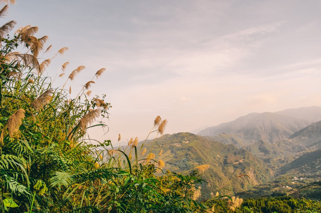 馬那邦山_2387021