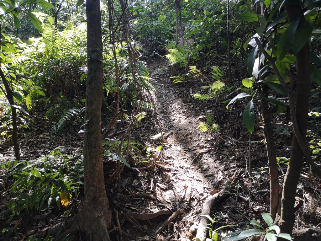 我從福人步道走去大北坑吃好料_818589