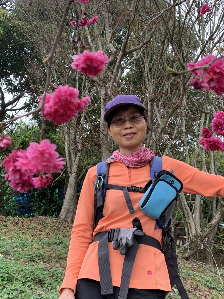 20240224嘉義半天岩山-尖凍山_2439765