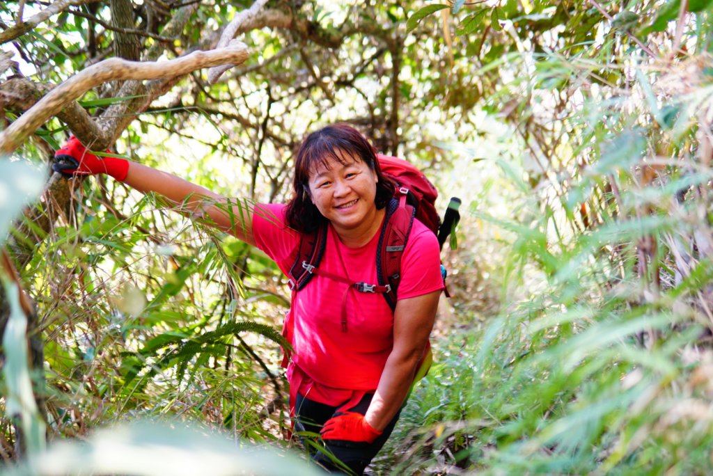 三腳南山、難山傻傻分不清楚_1240987