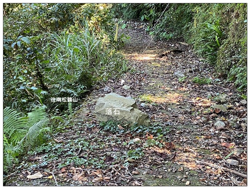 南松鶴山～八仙山 (台中 和平)_2926073