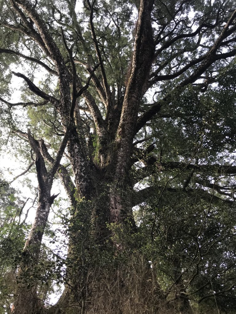 霞喀羅大山,佐藤山順訪佐藤駐在所_1324569