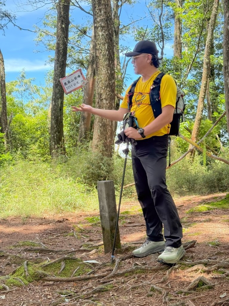 鹿屈山-杉林溪賞花趣_2816474