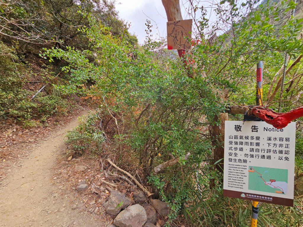 小百岳集起來-里龍山_2184729