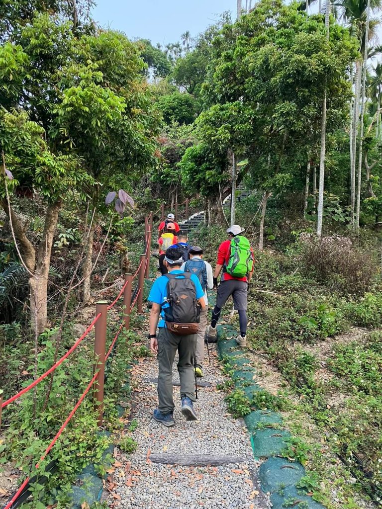 20240317十分速C團爬山趣_2456983