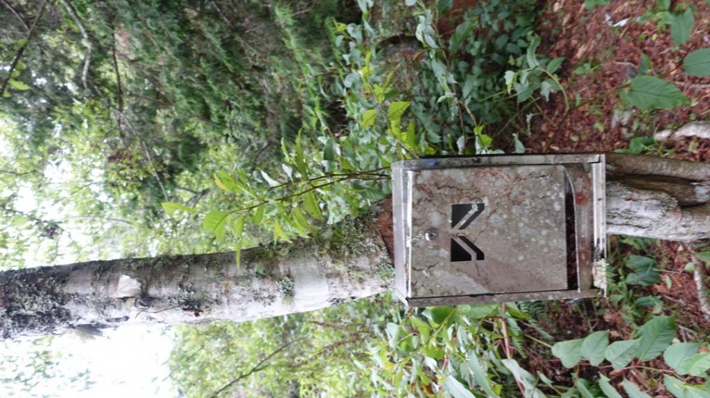 雙龍林道上巒安堂西巒大山_1778679