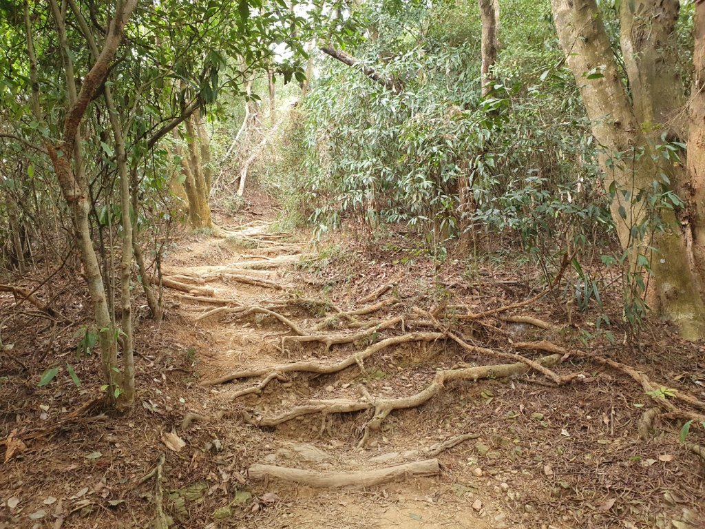 棚集山步道（小百岳）_1232600