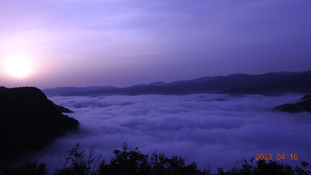 翡翠水庫壩頂(新店四十份)再見日出雲海+賞 #松月櫻 &桐花_2114895