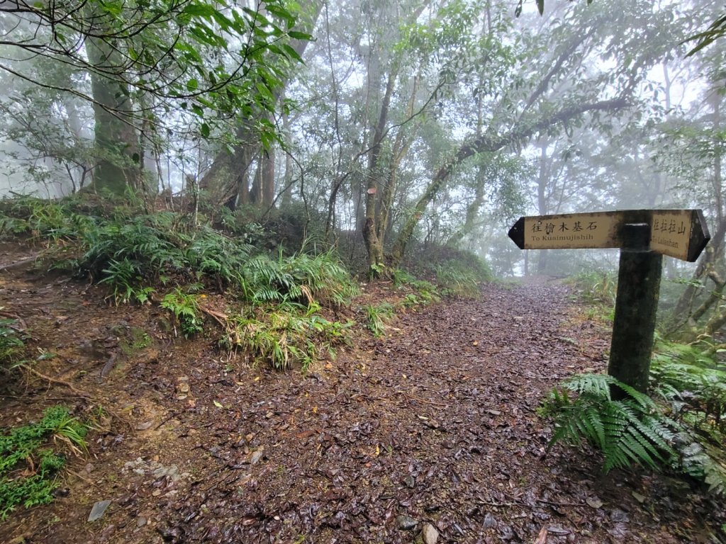 福巴越嶺古道 達觀山 檜山_2016648