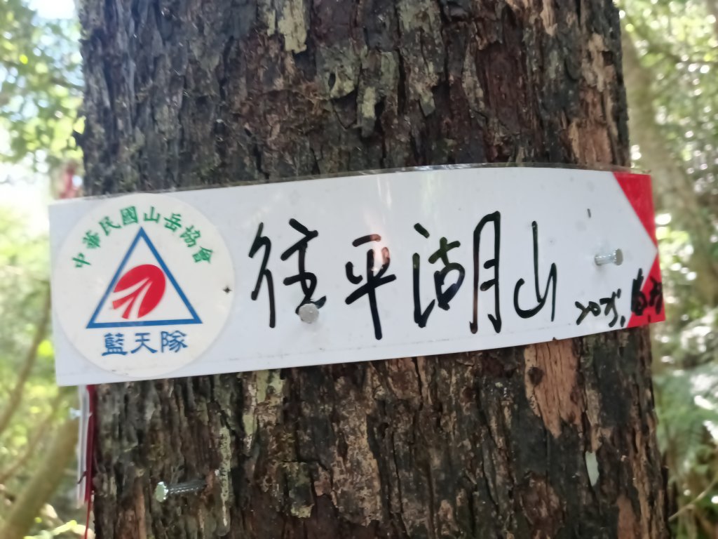 平溪區南山坪蝙蝠洞(濕洞)+平湖山+平湖尖+蝙蝠洞(乾洞)O型_2833889