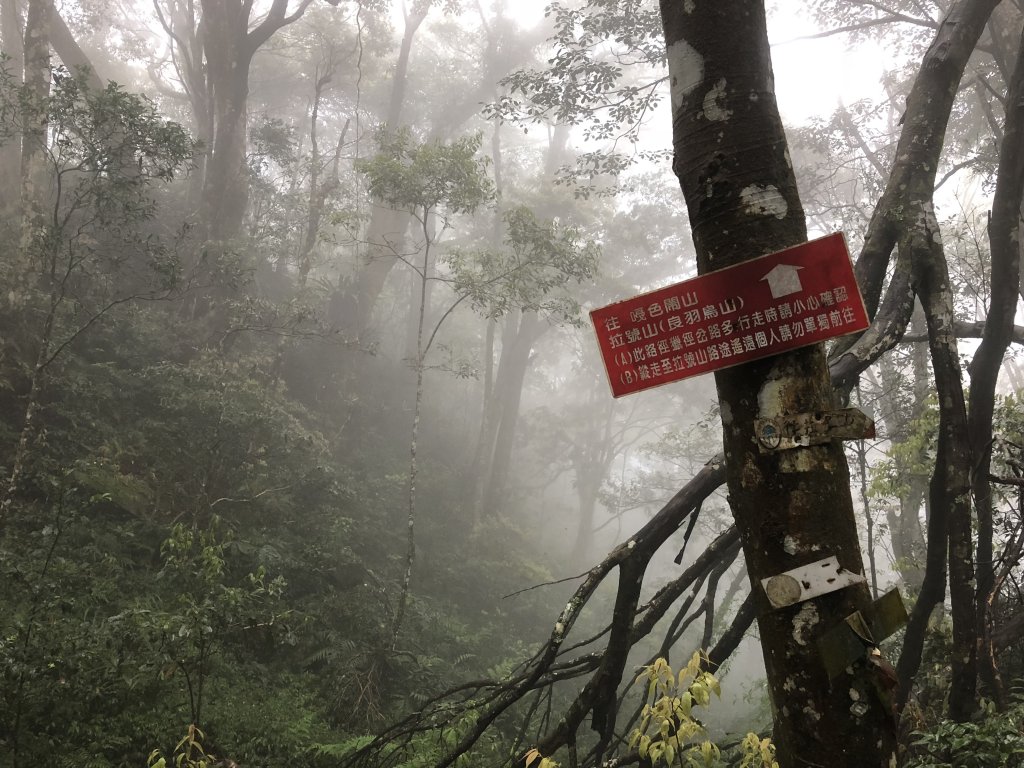 2018.04.07復興三尖-那結山_1005333