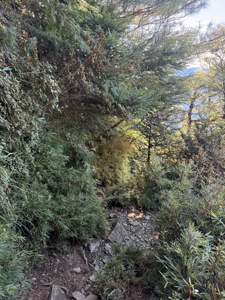 1141108-09桃山單攻_2936016