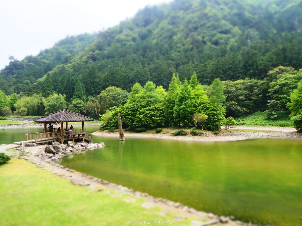 《宜蘭》北橫明珠｜明池國家森林遊樂區20180519封面圖