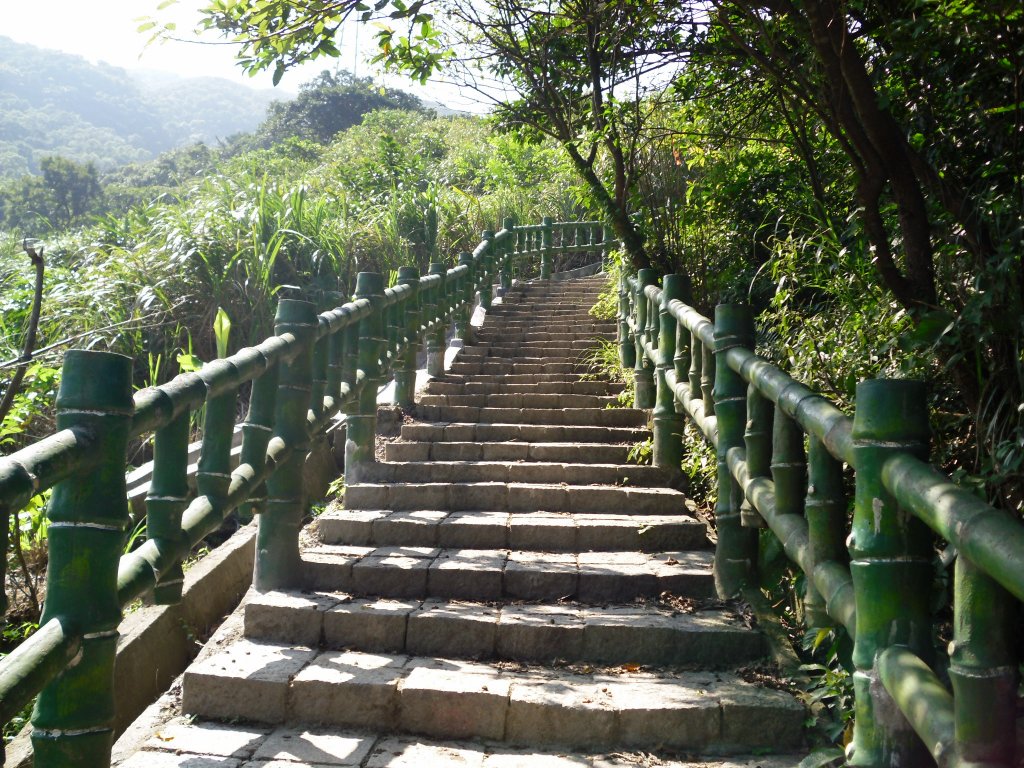 2011.10.24青山瀑布+尖山湖步道之旅_1410914