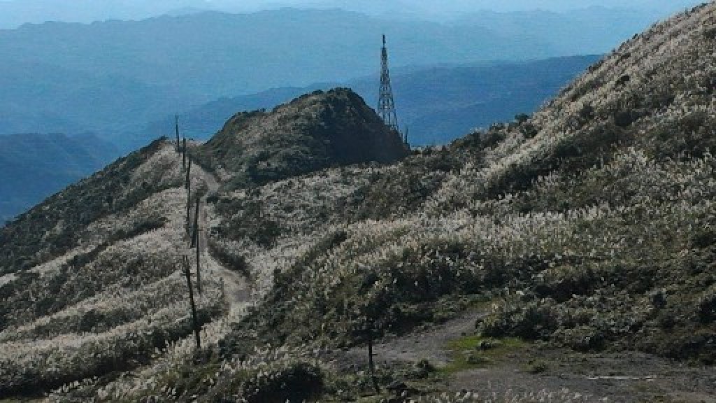小粗坑古道-小粗坑山-小金瓜露頭-大粗坑山步道_469685