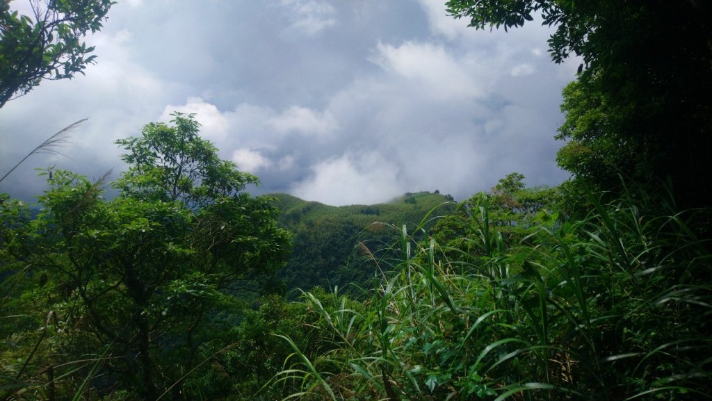 階梯多到不行又濕滑的大湖尖山_1733748