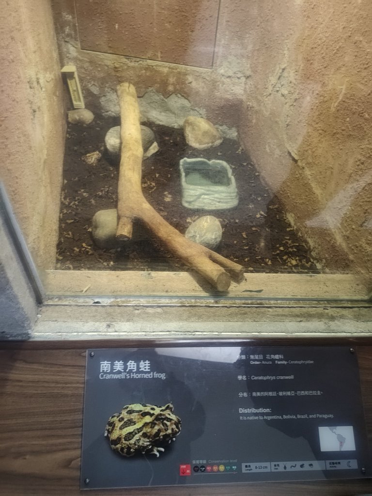 台北動物園_2663989