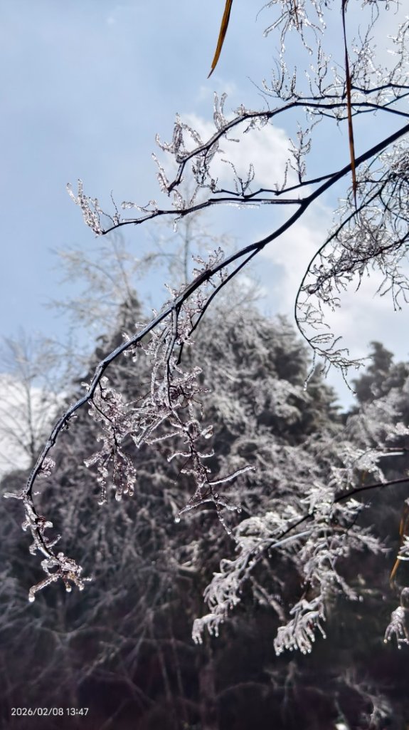 #霧淞 #雲海 #雲瀑 #霧虹 #太平山 #望洋山 #觀雲步道 #翠峰道路  2/8_2995356