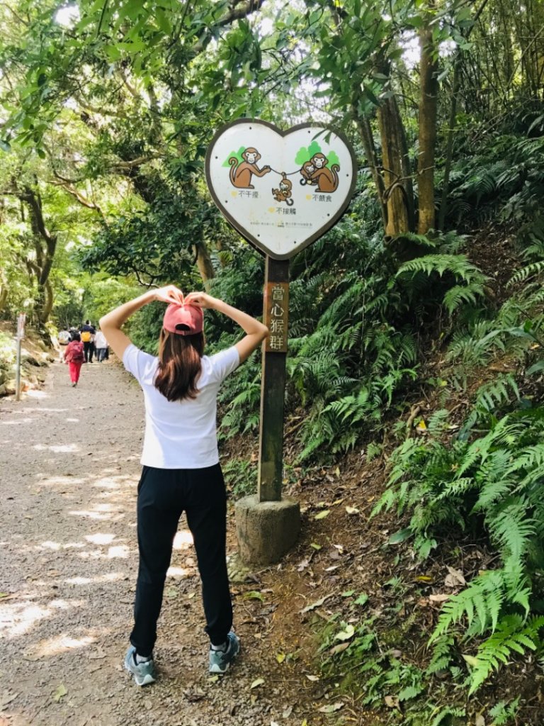 天母水管_1354729