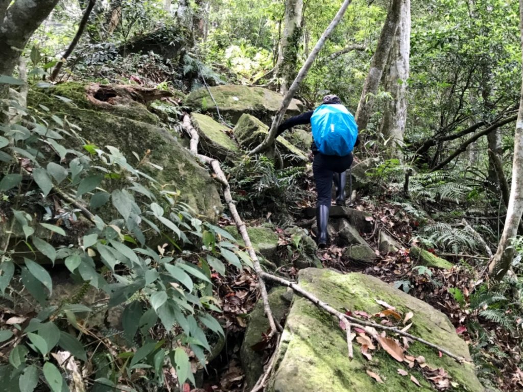 嘎色鬧走那結山_1370926