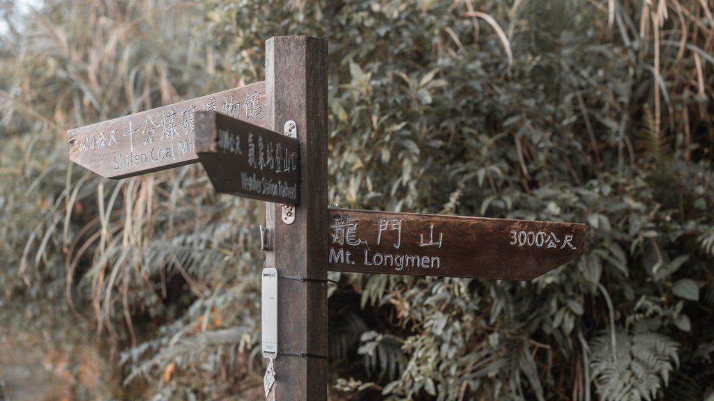 菅芒浪白｜五分山_2356447