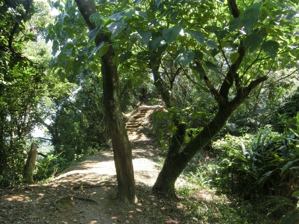 康樂山．明舉山．風化紋岩壁_452702