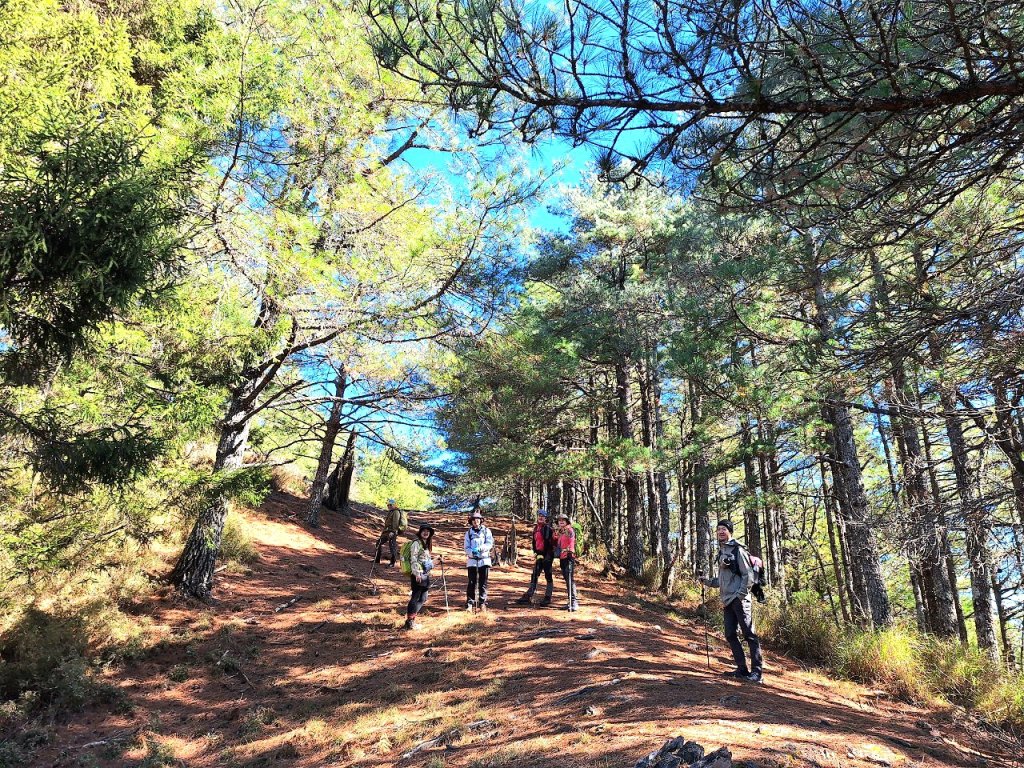 百岳觀景台:平多縱走封面圖