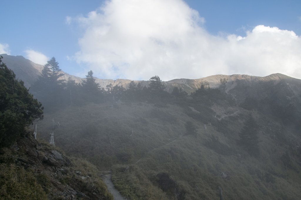 20191124-25玉山西北主_753316