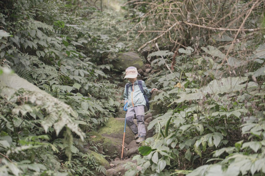 悠遊五指間-新竹五指山五連峰_2039410