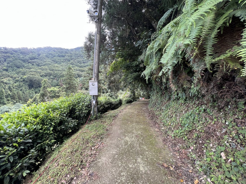 2023-08-13 馬那邦山（馬拉邦山）_2251251