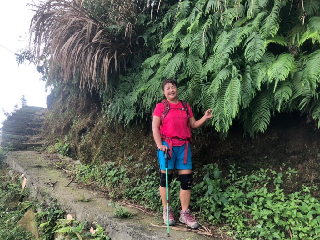 後棟山經挑筍古道上大尖山再走樟湖山_1100374