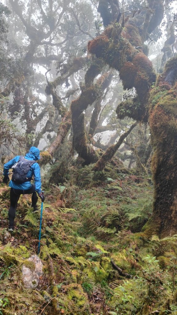 茶仁山單攻2025年4月4日_2753336