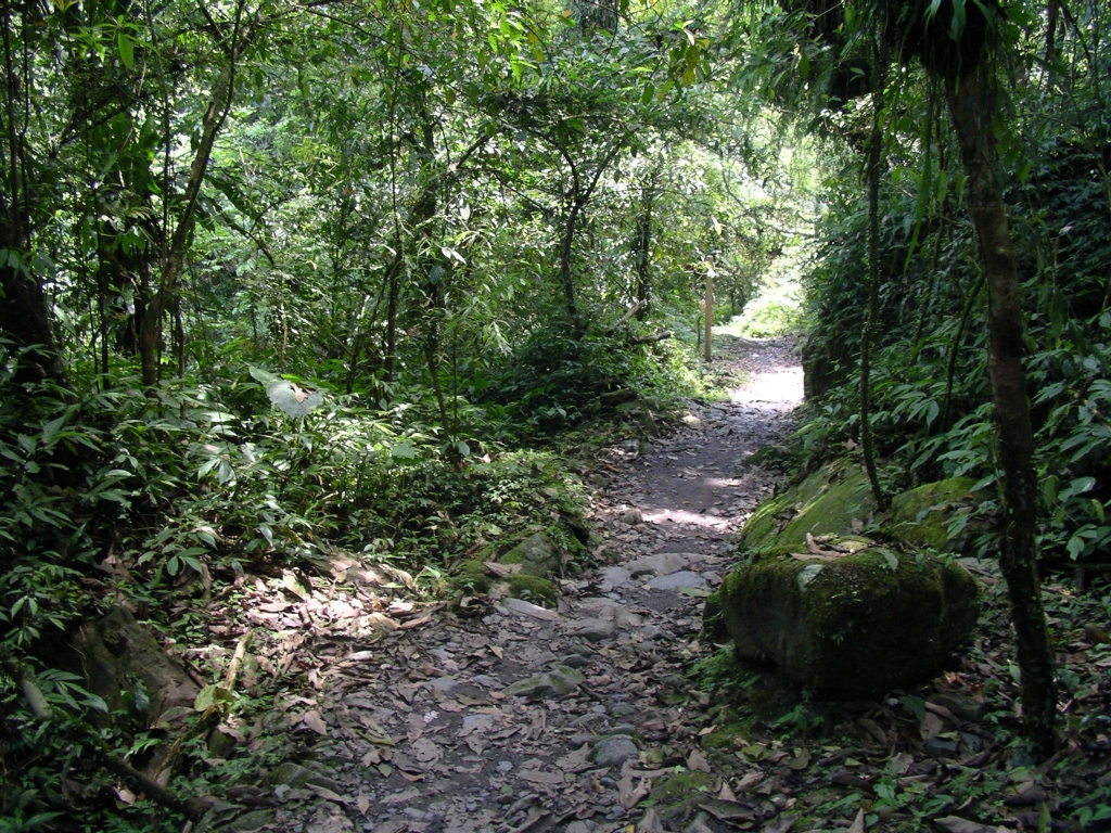 山岳之美 松羅_8263