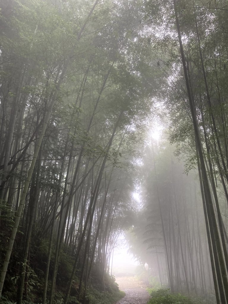 2023-09-30 頂石棹 雲之道_2300736