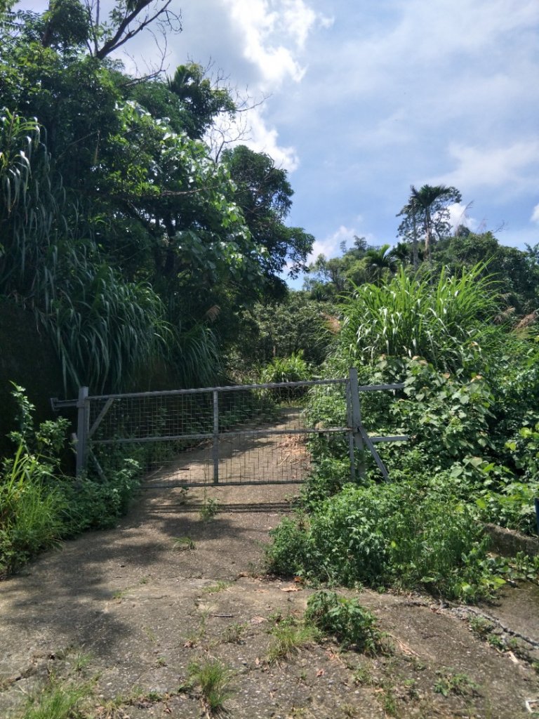 蝙蝠洞_1442920