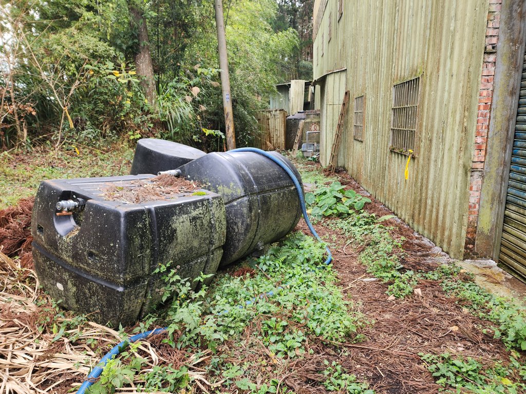 20251228溪頭山龍鳳山嶺頭山O型_2992394