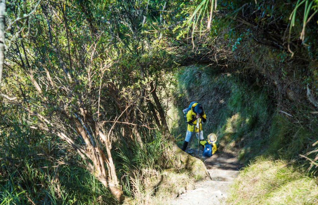 玉山北峰～讓我爬到流淚的碎石坡_1796023