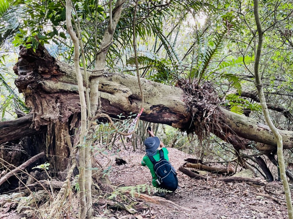 1110227美輪山_1621630